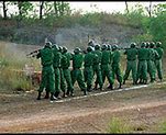 Image result for Firing Squad Vietnam