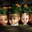 Image result for Face Planters