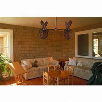 Image result for Fanimation Palisade Natural Rust Finish Double Ceiling Fan
