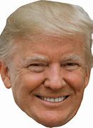 Image result for Trump Head Pens