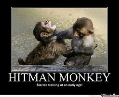 Image result for Funky Monkey Meme