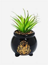 Image result for Succulents In Dove Planter By Harry & David - Flowers & Plants Delivered - Just Because Gifts - Plant Gifts