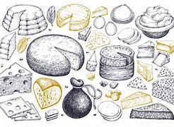 Image result for Cheese Illustration