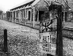 Image result for Auschwitz From Above