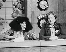 Image result for Saturday Night Live Characters Costumes