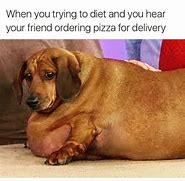 Image result for Funny Memes About Dogs