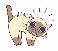Image result for Funny Scared Cats Cartoon