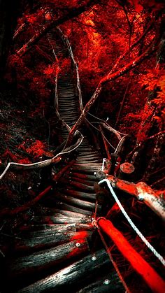 Dark Path, red, HD phone wallpaper | Peakpx