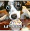 Image result for Funny Happy Birthday to a Special Friend