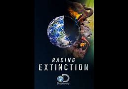 Image result for Racing Extinction
