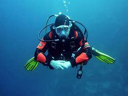 Image result for Matt Lattanzi Diving In