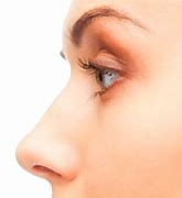 Image result for Croatian Nose