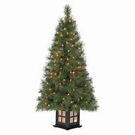 Image result for Christmas Trees at Lowe's