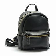 Image result for Mini Backpacks