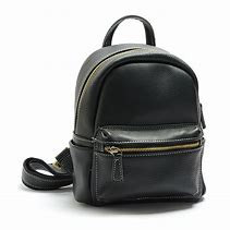 Image result for Small Backpack
