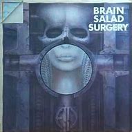 Image result for Brain Salad Surgery Artwork