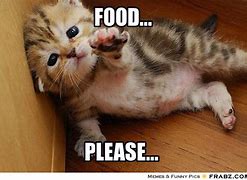 Image result for Give Me My Food Meme
