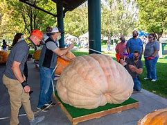 Image result for Utah Fair Park Pumpkin Fest