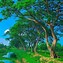 Image result for Beautiful Landscape Bangladesh