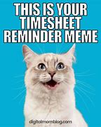 Image result for Timesheets Are Due Funny Memes