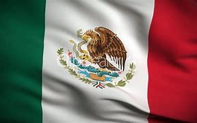 Image result for Mexico Drapeau