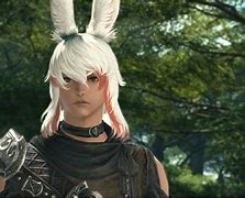 Image result for FF14 Dragon Race
