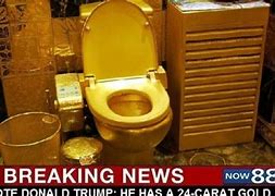Image result for Trump Golden Toilet
