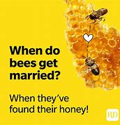 Image result for Bee Jokes