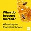 Image result for Bee Jokes and Puns