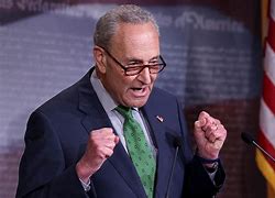 Image result for Andy Schumer