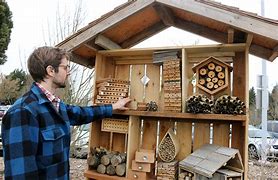Image result for Bee Home