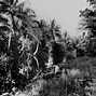Image result for Guadalcanal Battle