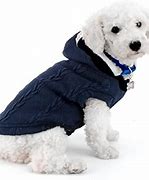 Image result for Small Dog Accessories