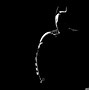 Image result for Batman Design Black and White