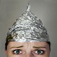 Image result for Lady in Tin Foil Hat