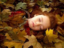 Image result for Sleeping Beauty Prince Phillip Aurora