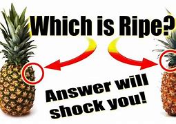 Image result for How to Know If a Pineapple Is Ripe