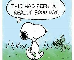 Image result for Snoopy Wisdom