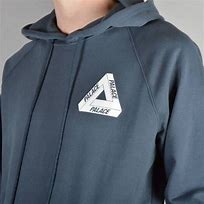 Image result for Palace Tri Ferg Hoodie