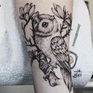 Image result for Amazing Owl Tattoos