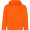 Image result for Shine Hoodie