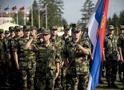 Image result for Serbian Armed