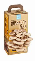 Image result for Mushroom Grow Kit