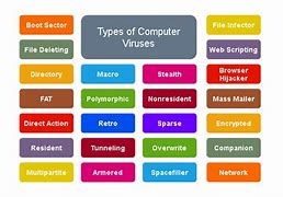 Image result for Computer Virus Map