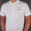 Image result for Lacoste Polo Shirts Men