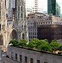 Image result for Rockefeller Center Rooftop Garden
