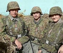Image result for Waffen SS Combat in Color