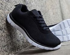 Image result for Mesh Trainers
