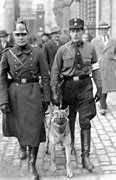 Image result for SS Police Nazi
