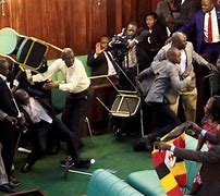 Image result for South Africa Parliament Fight
